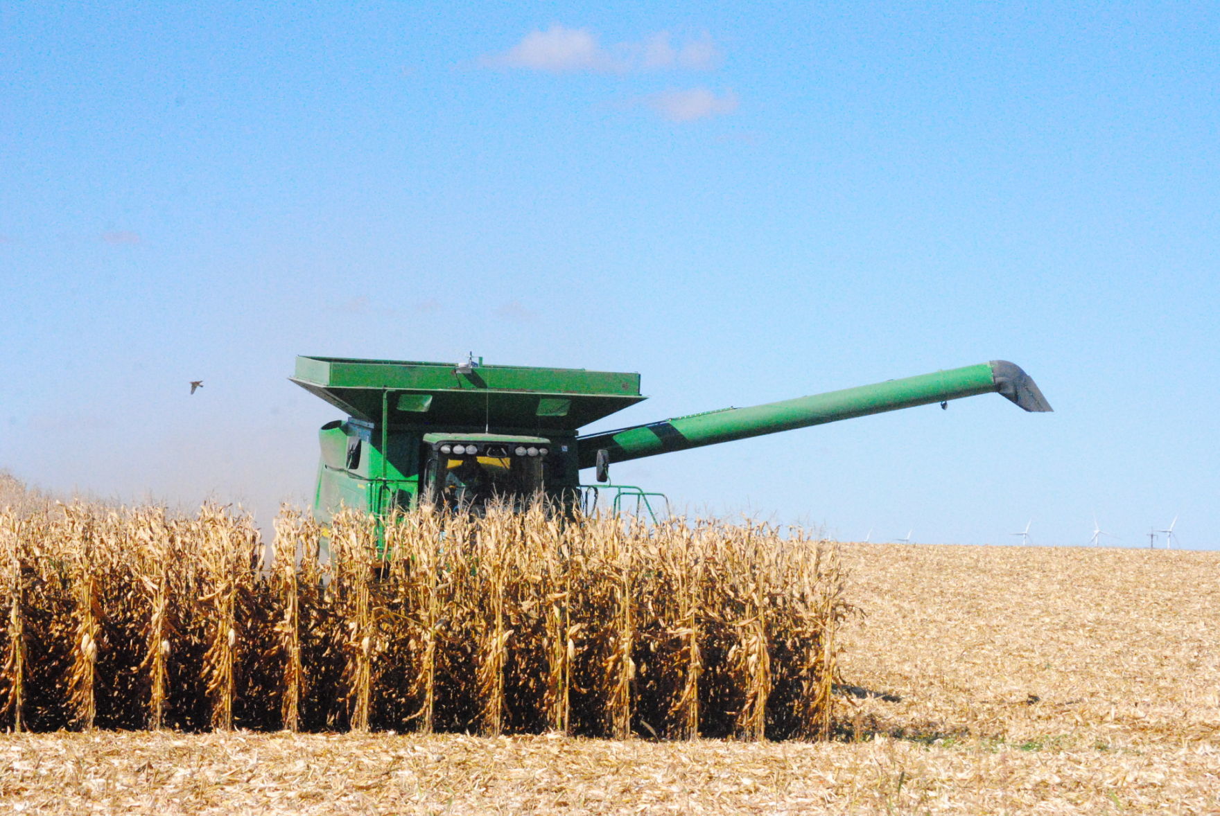 Harvest